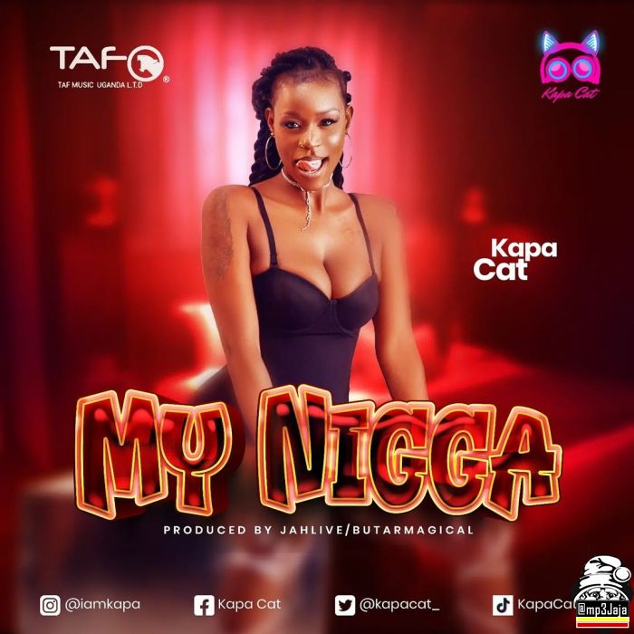 Kapa Cat - MY NIGGA