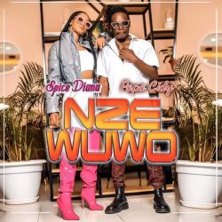Nze Wuwo featuring Spice Diana by Papa Cidy
